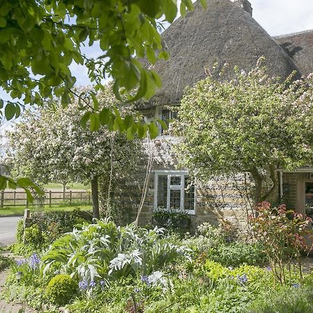 Tudor Cottage B&B Frampton Dorchester Dış mekan fotoğraf