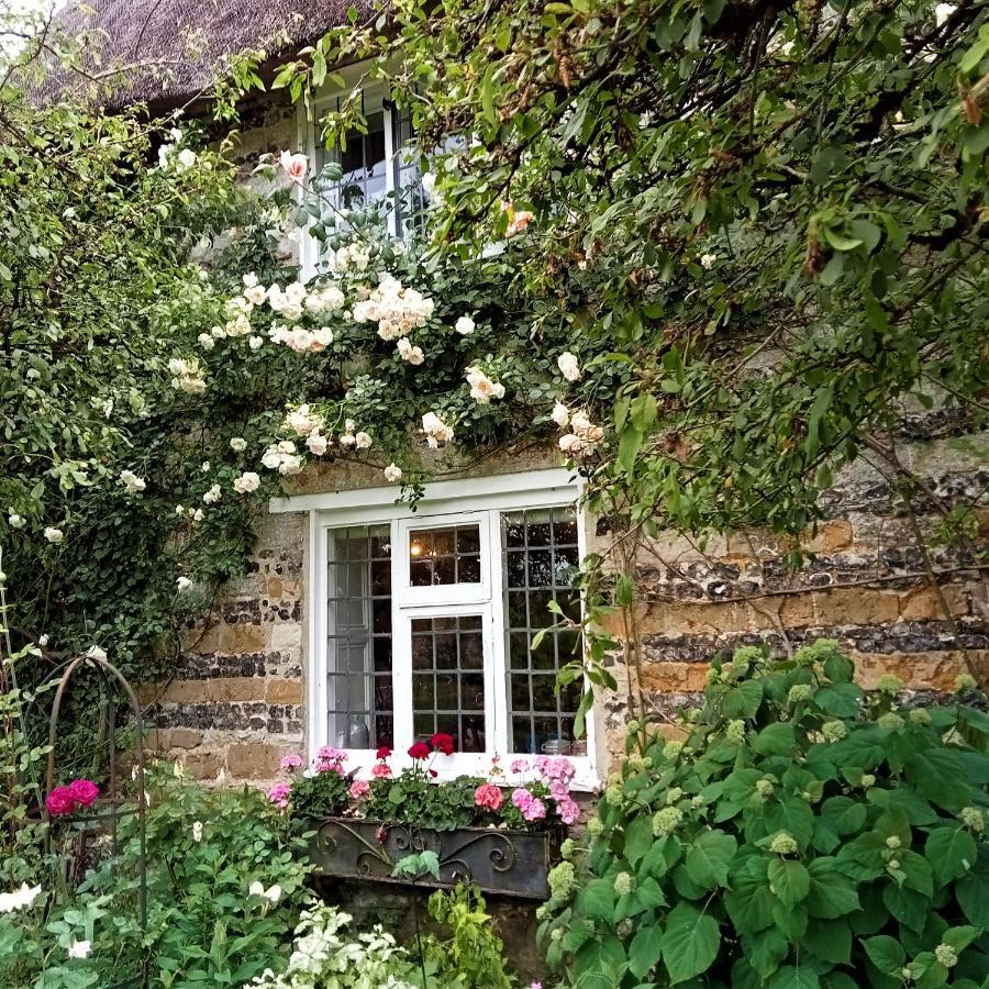 Tudor Cottage B&B Frampton Dorchester Dış mekan fotoğraf