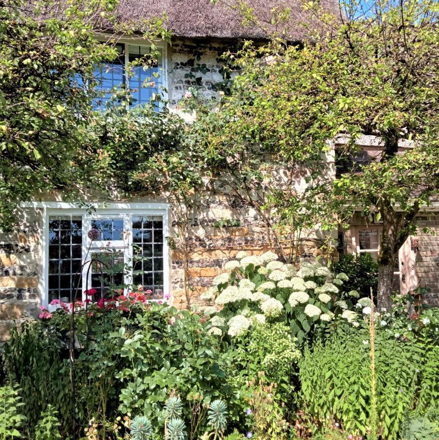 Tudor Cottage B&B Frampton Dorchester Dış mekan fotoğraf
