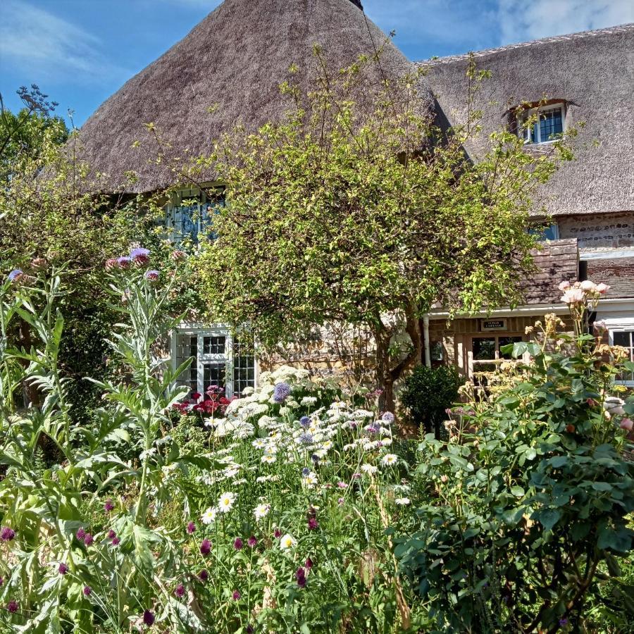 Tudor Cottage B&B Frampton Dorchester Dış mekan fotoğraf