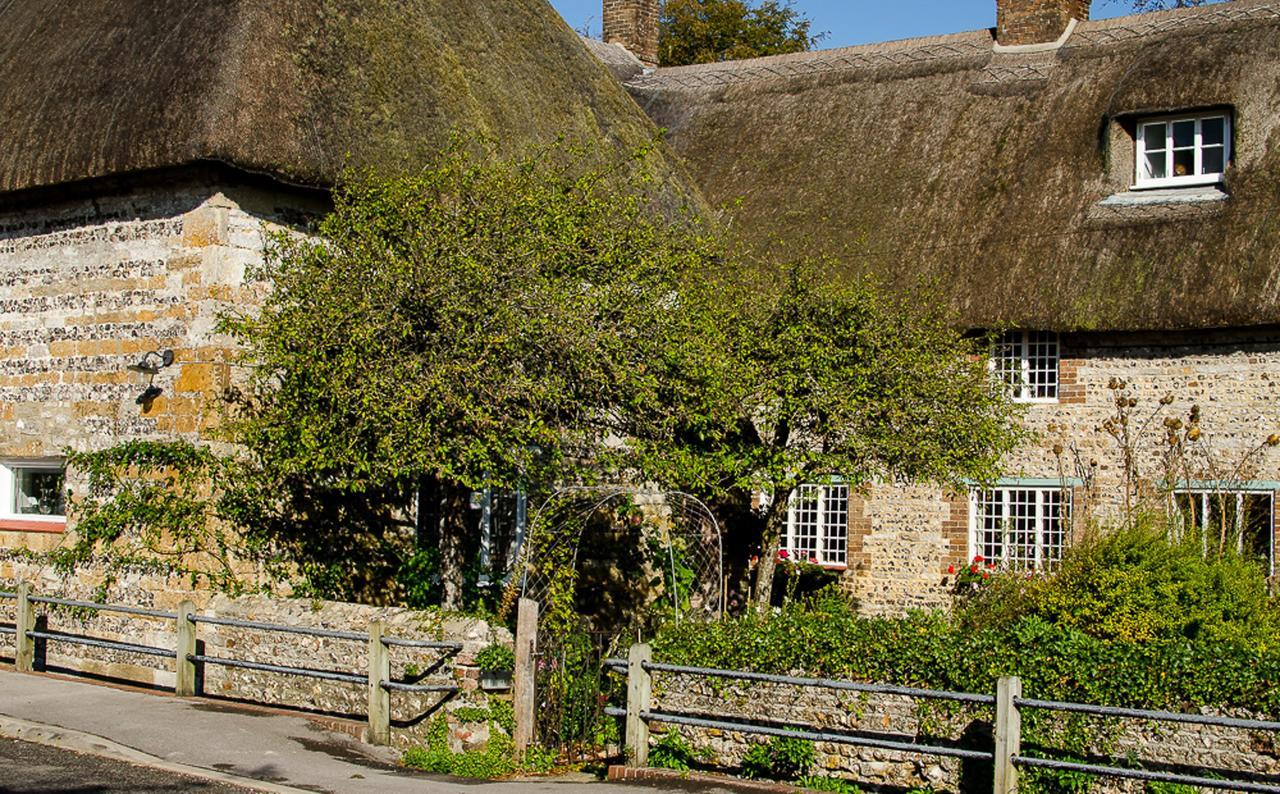Tudor Cottage B&B Frampton Dorchester Dış mekan fotoğraf